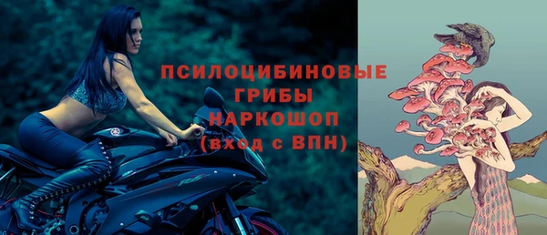 крисы Покровск