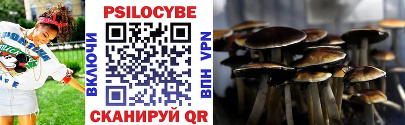 Купить где  Прокопьевск  Псилоцибиновые грибы MAGIC MUSHROOMS 