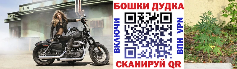 Купить  Прокопьевск  Бошки марихуана семена 